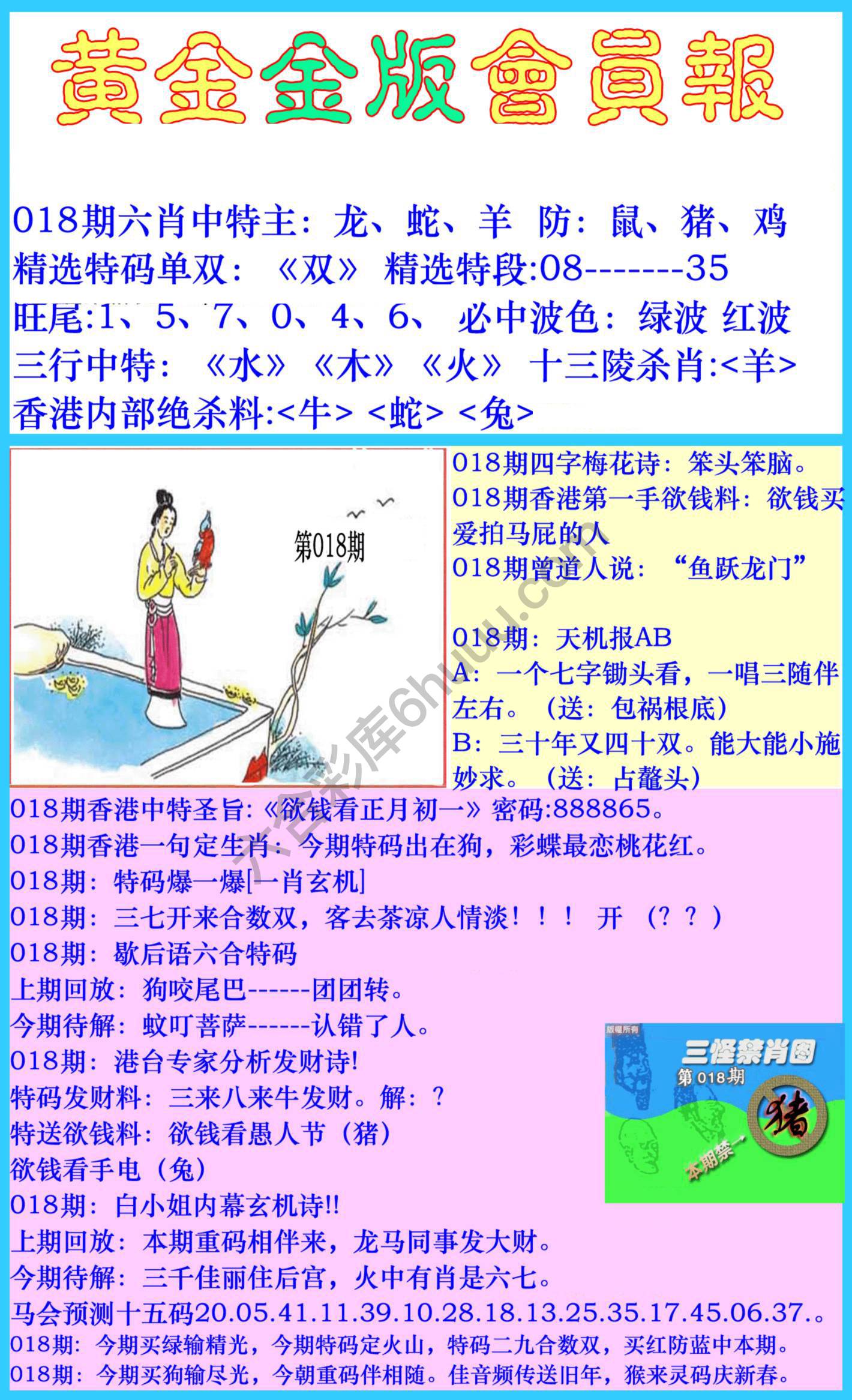黄金金版会员报