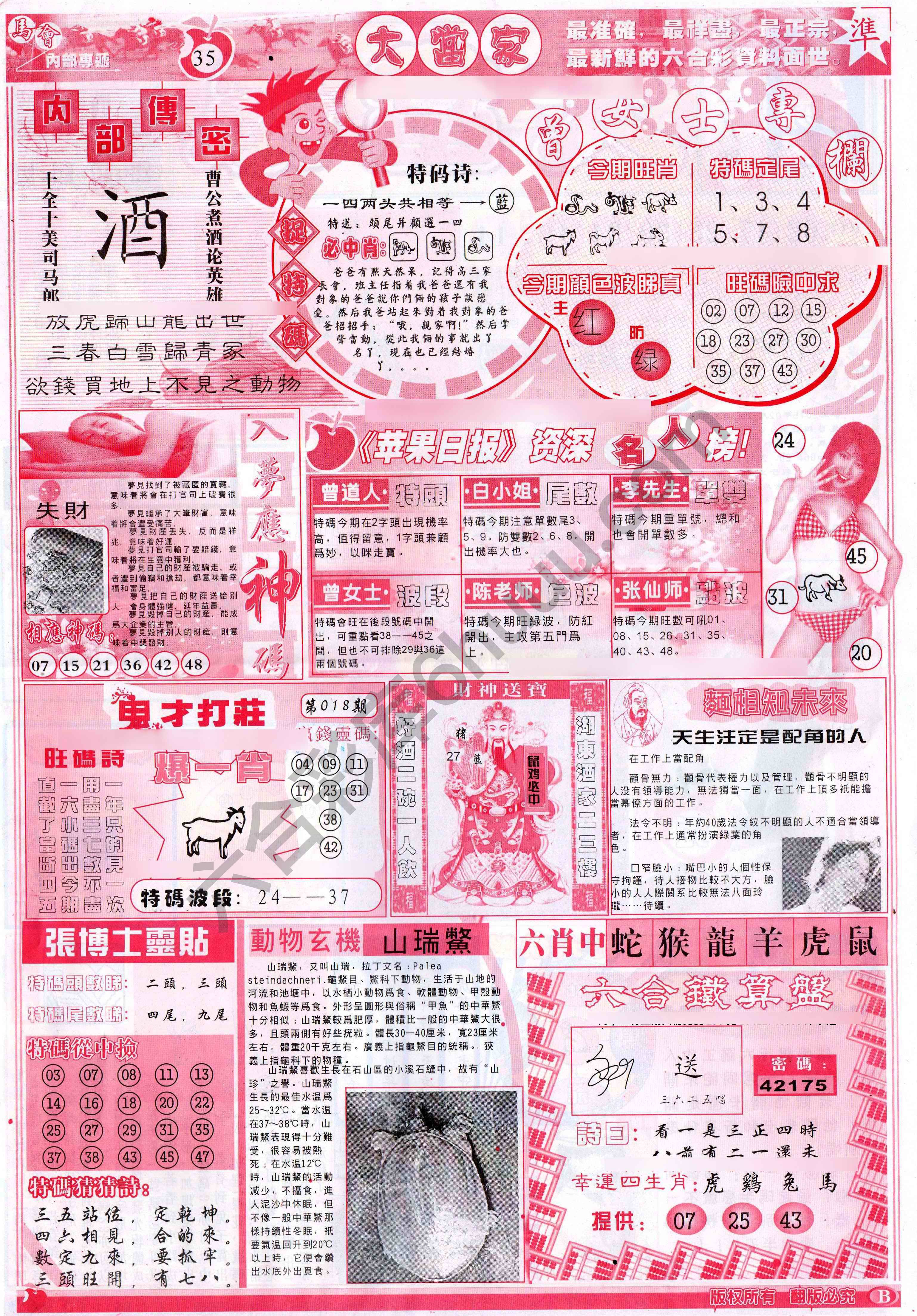 大当家