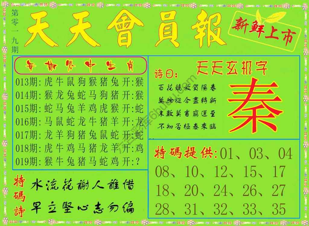 天天会员报