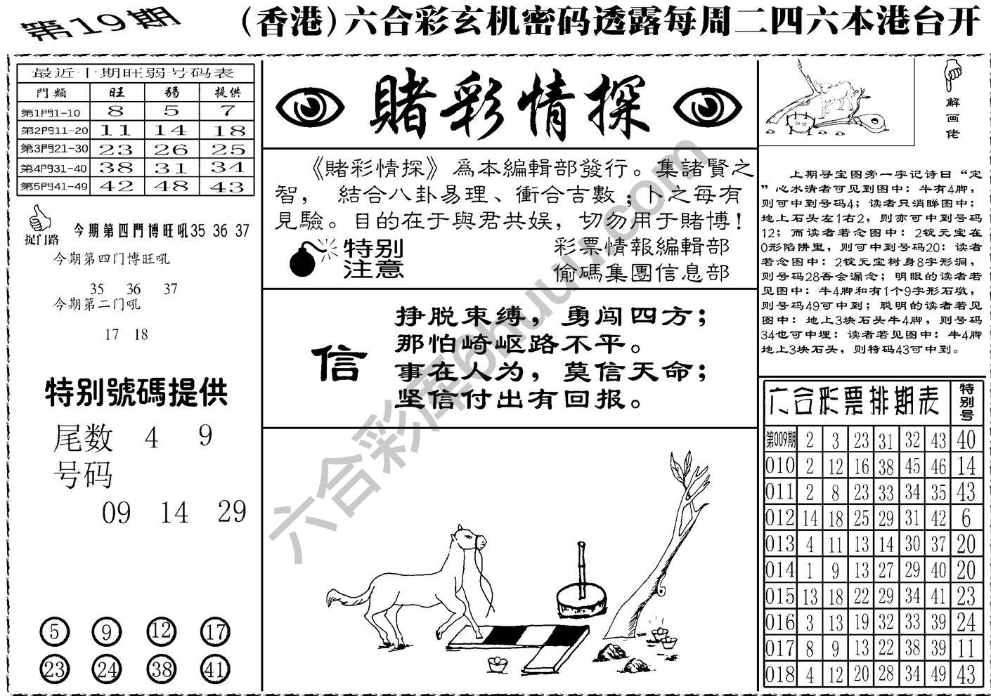赌彩情探