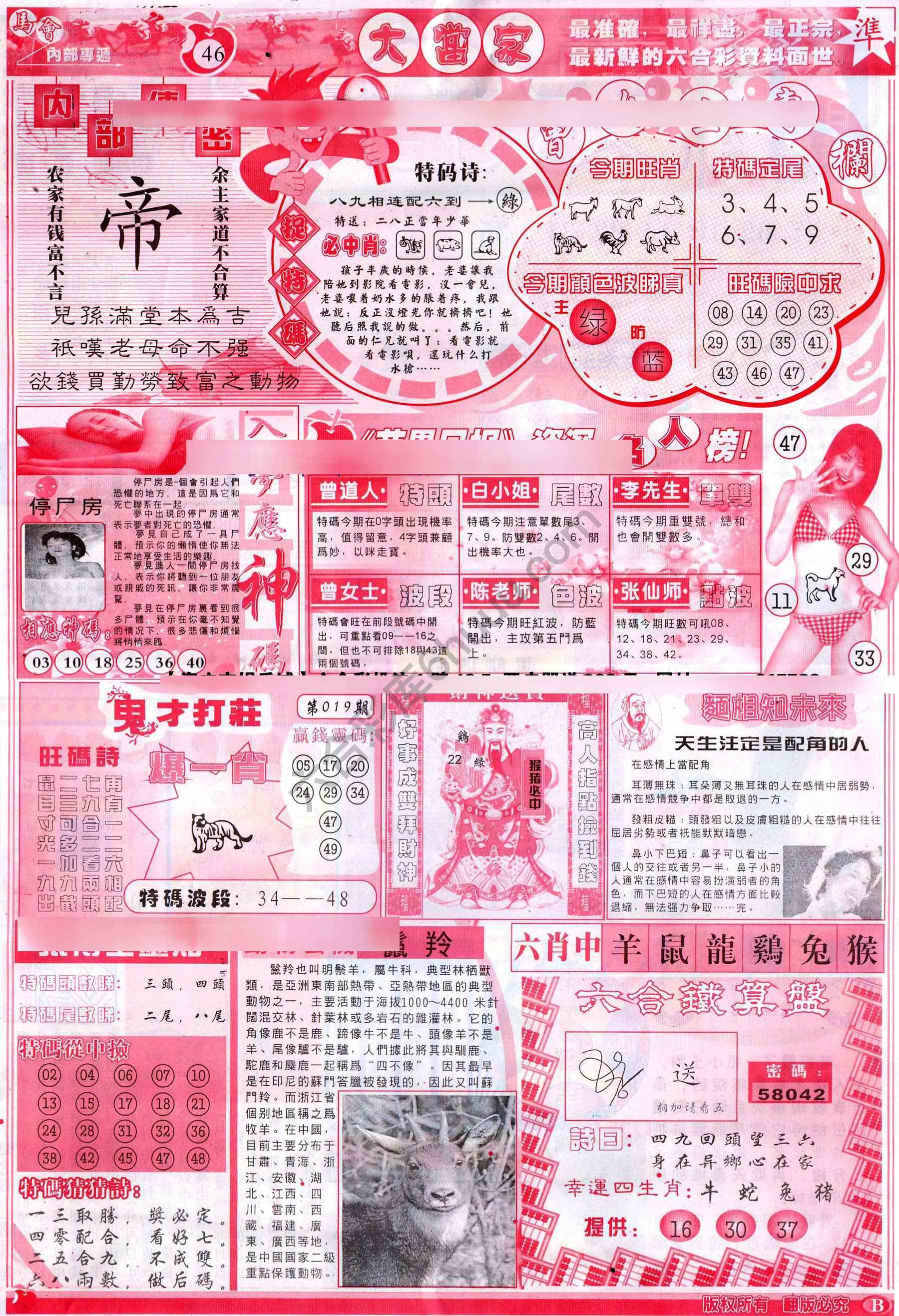 大当家