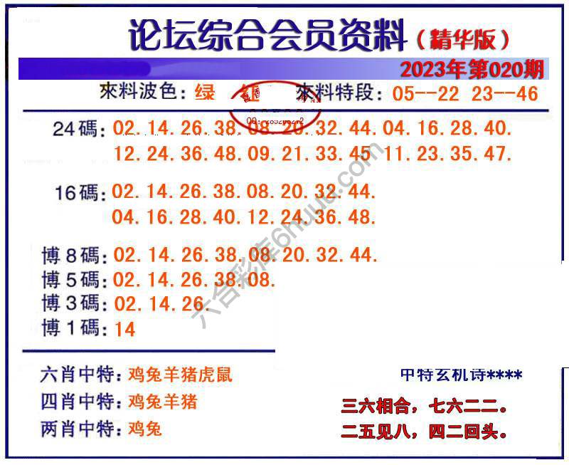 综合会员资料