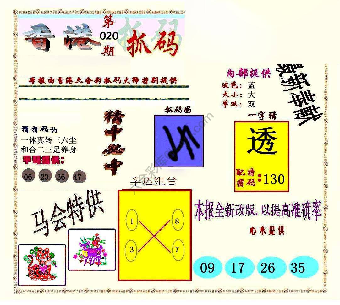 新抓码王
