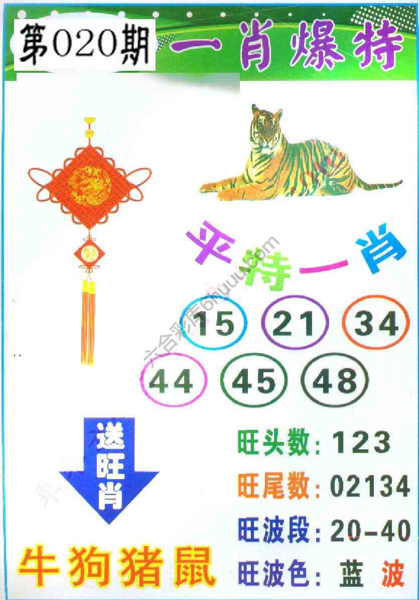 一肖爆特（新版）