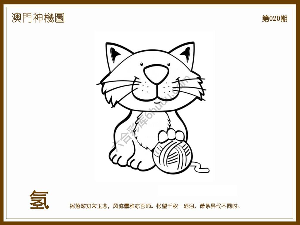 澳门神机图