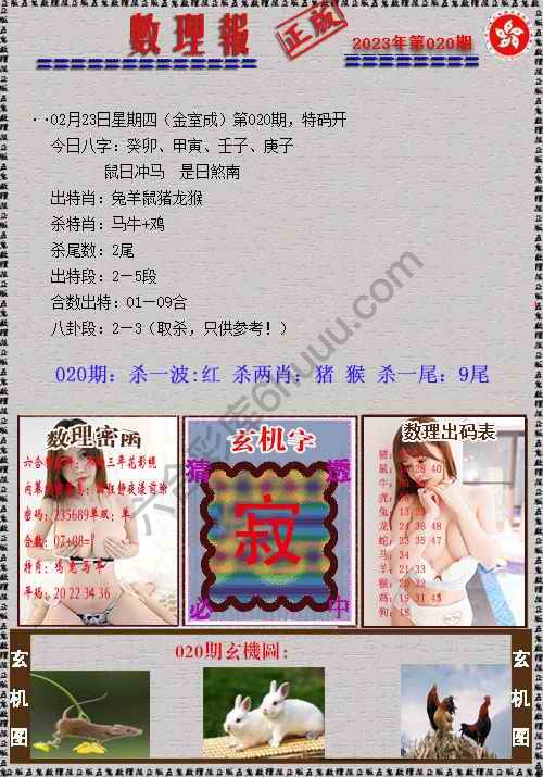 数理报
