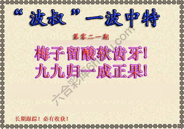 波叔一波中特