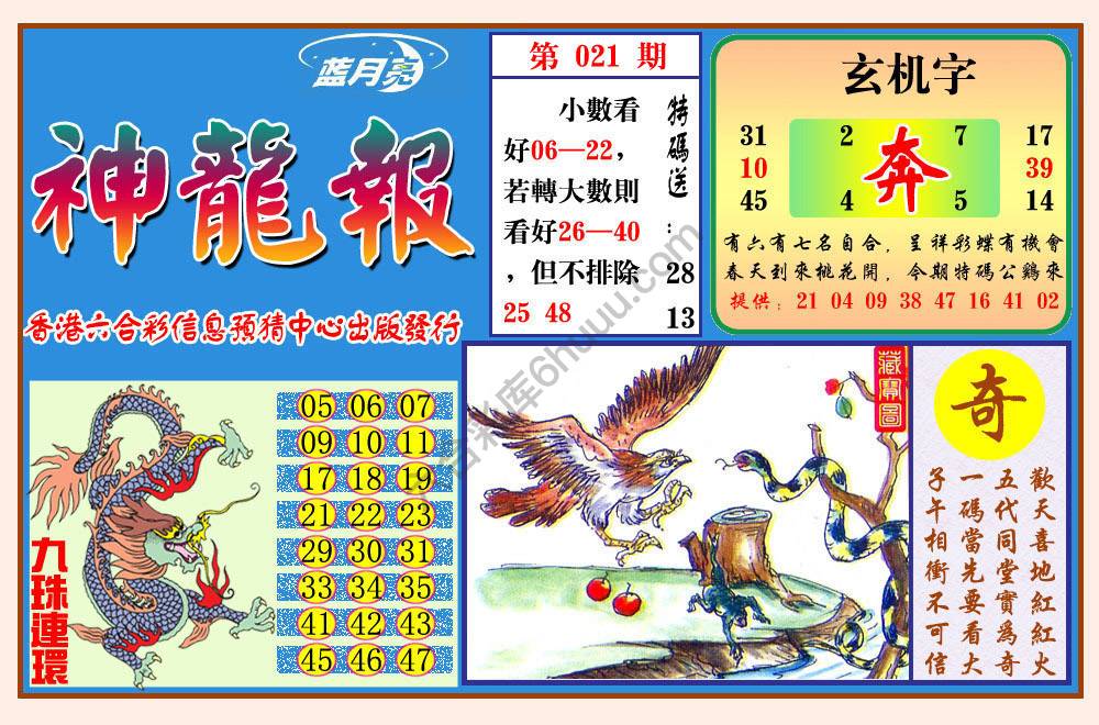蓝月亮神龙报