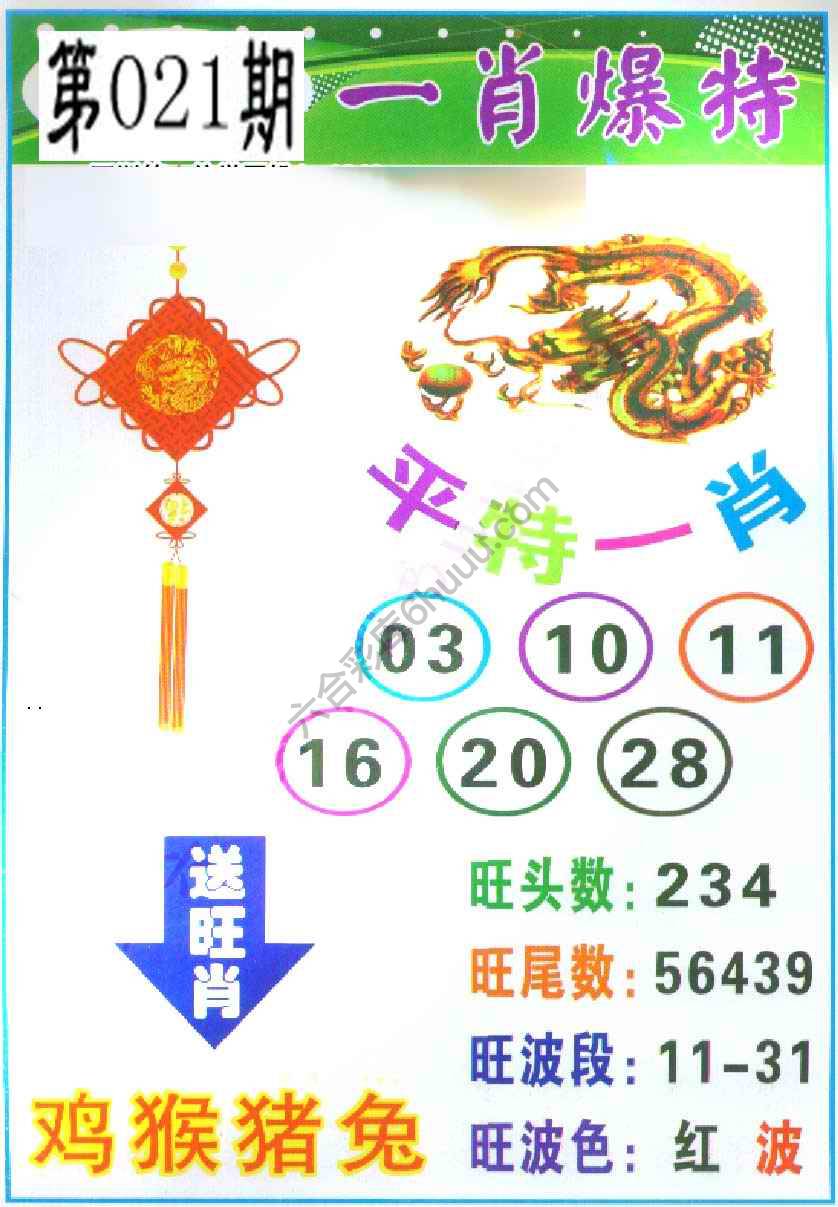 一肖爆特（新版）