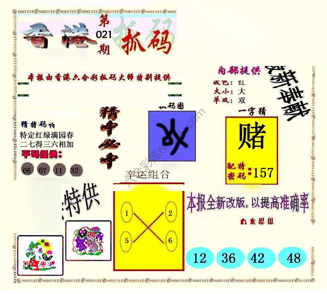 新抓码王