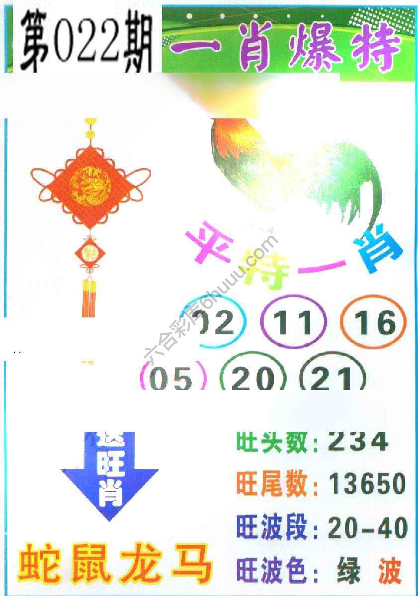 一肖爆特（新版）