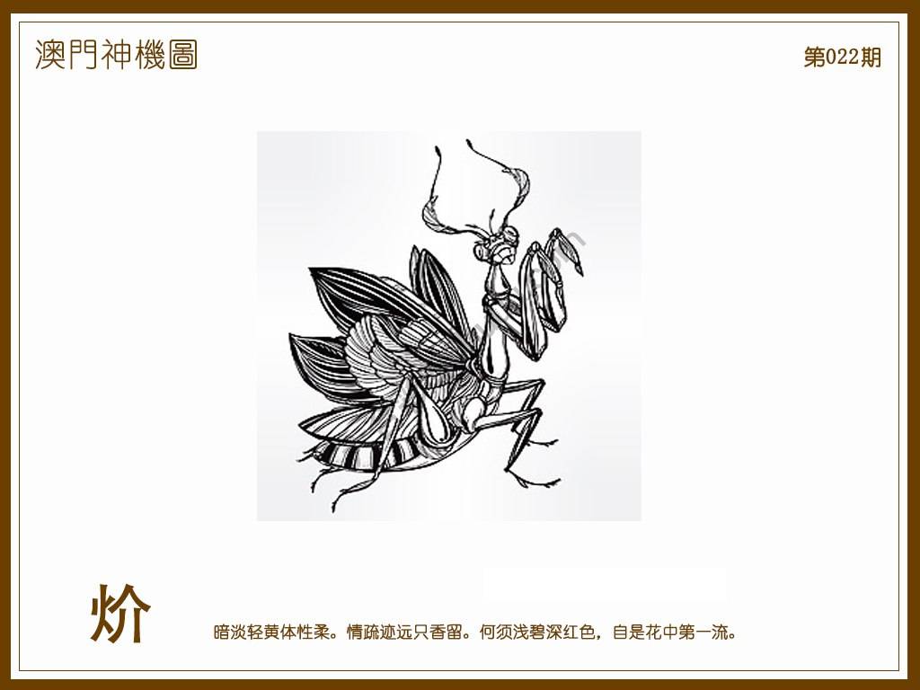 澳门神机图