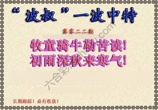 波叔一波中特