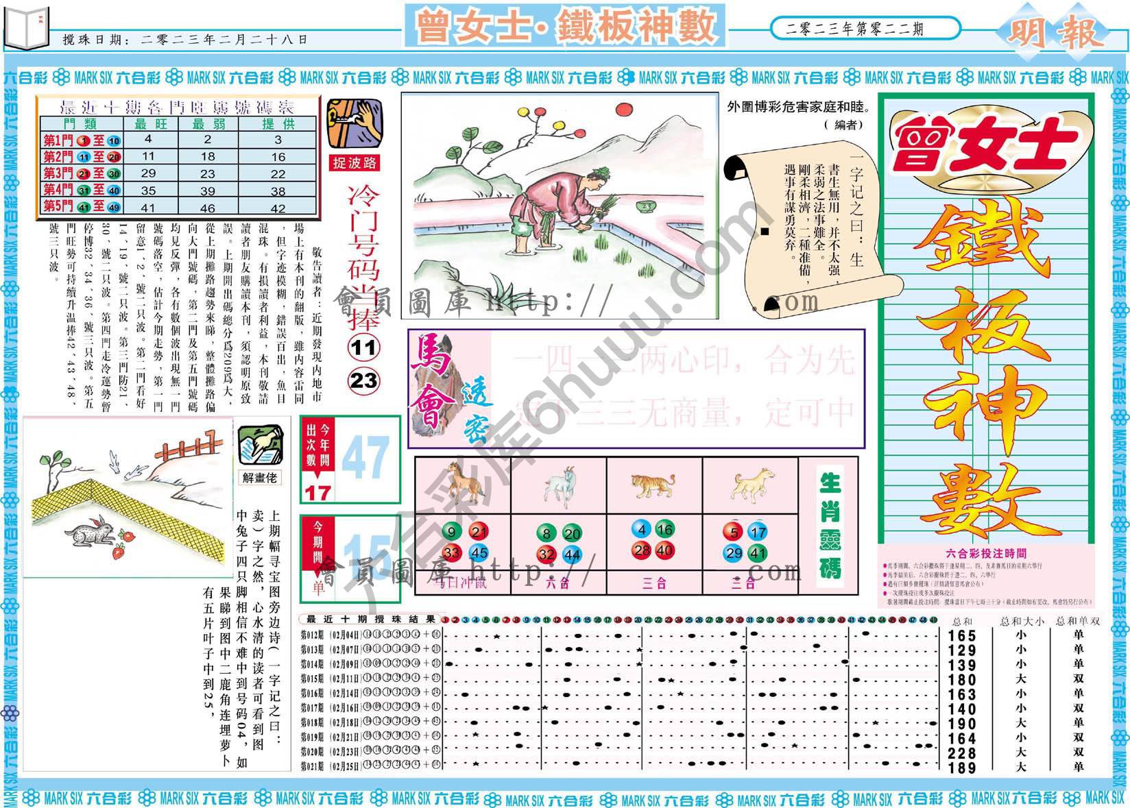 曾女士铁板神数