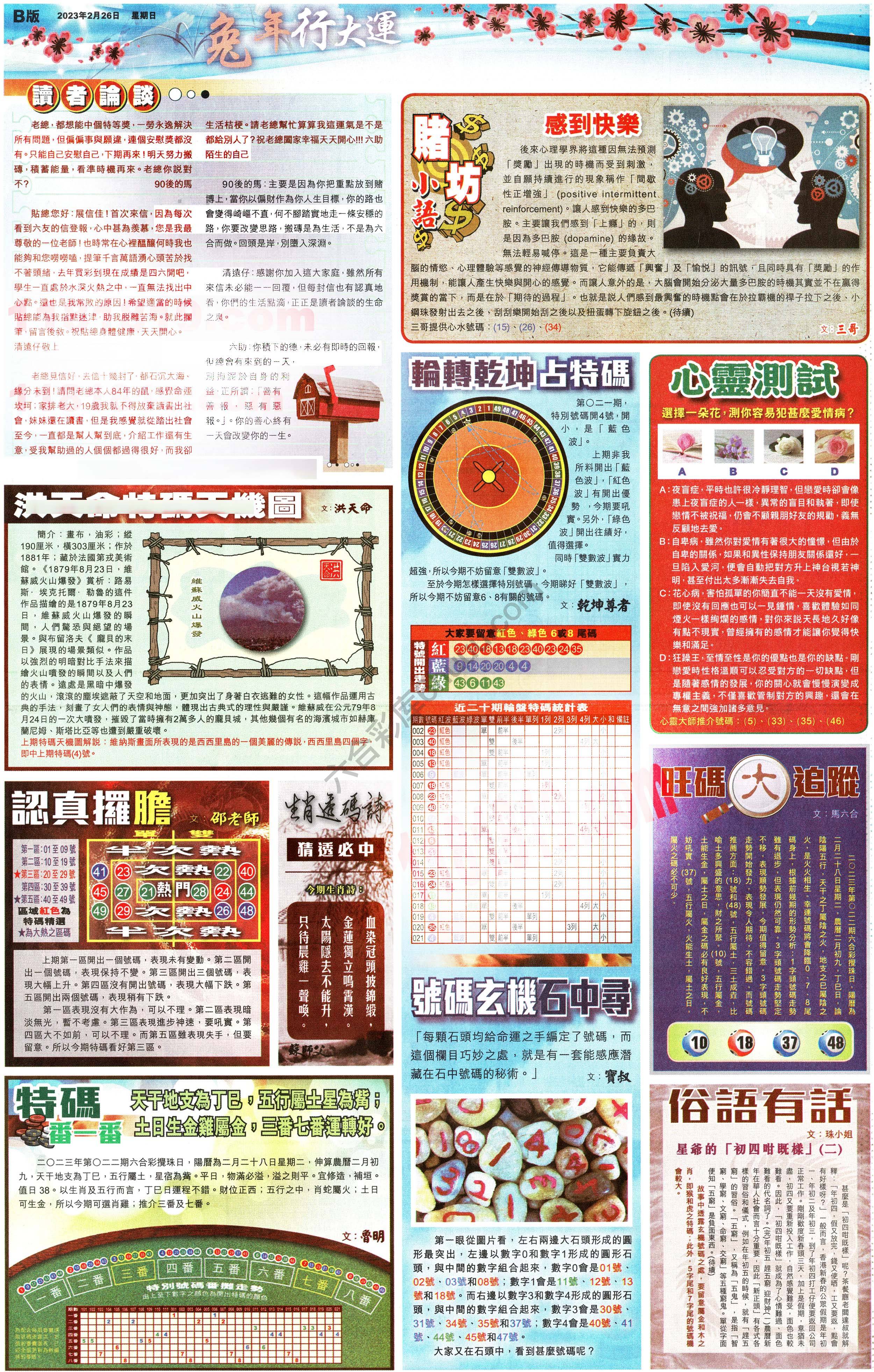 大版贴士皇