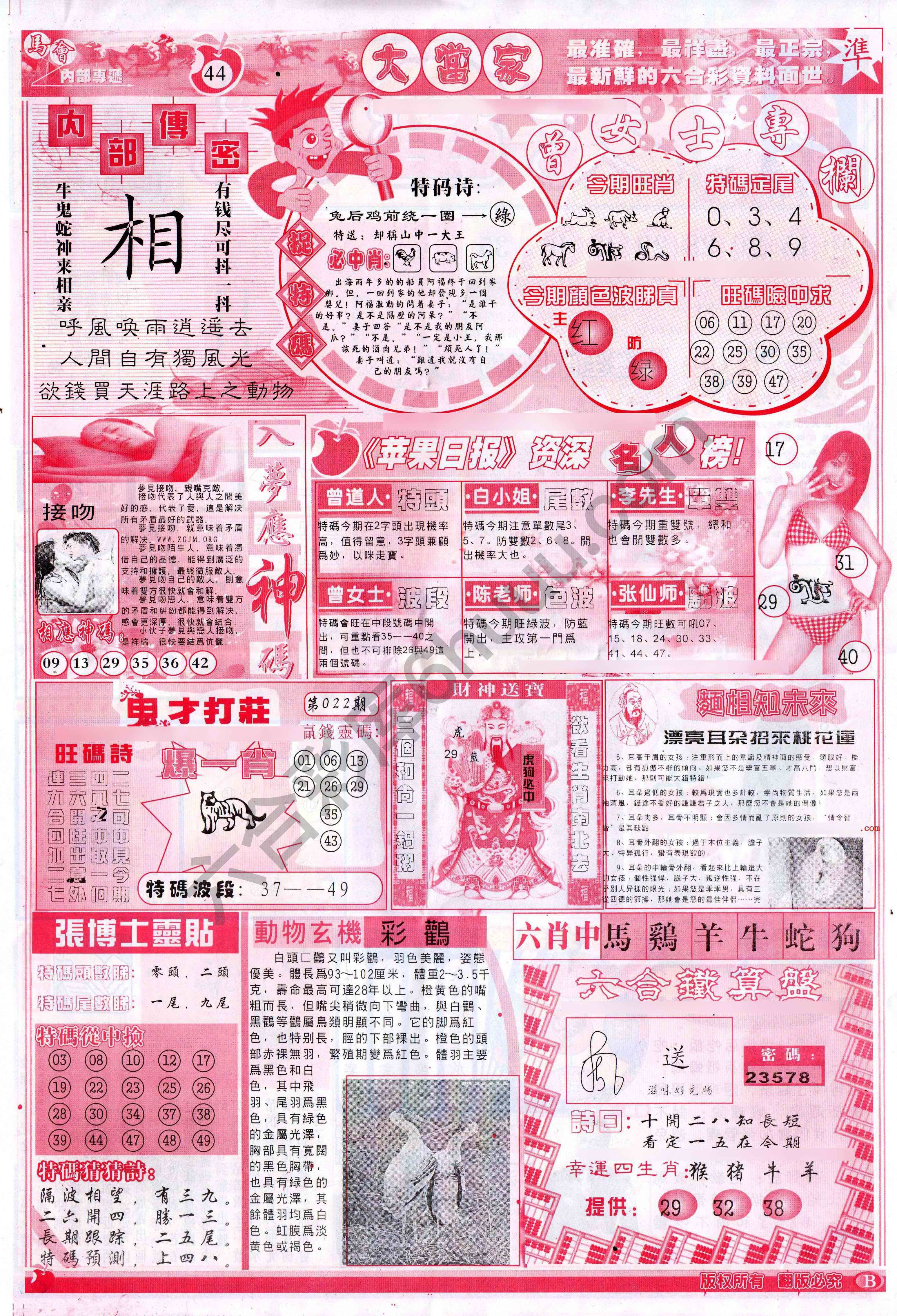 大当家