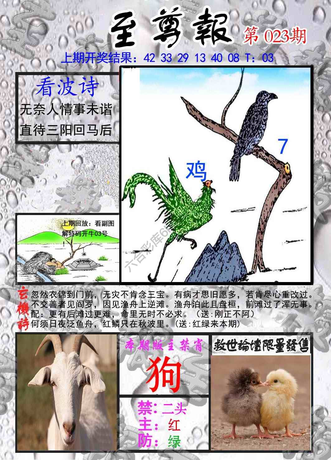 至尊报