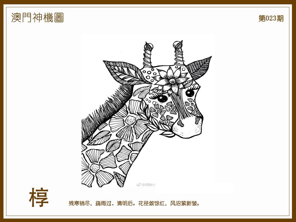 澳门神机图
