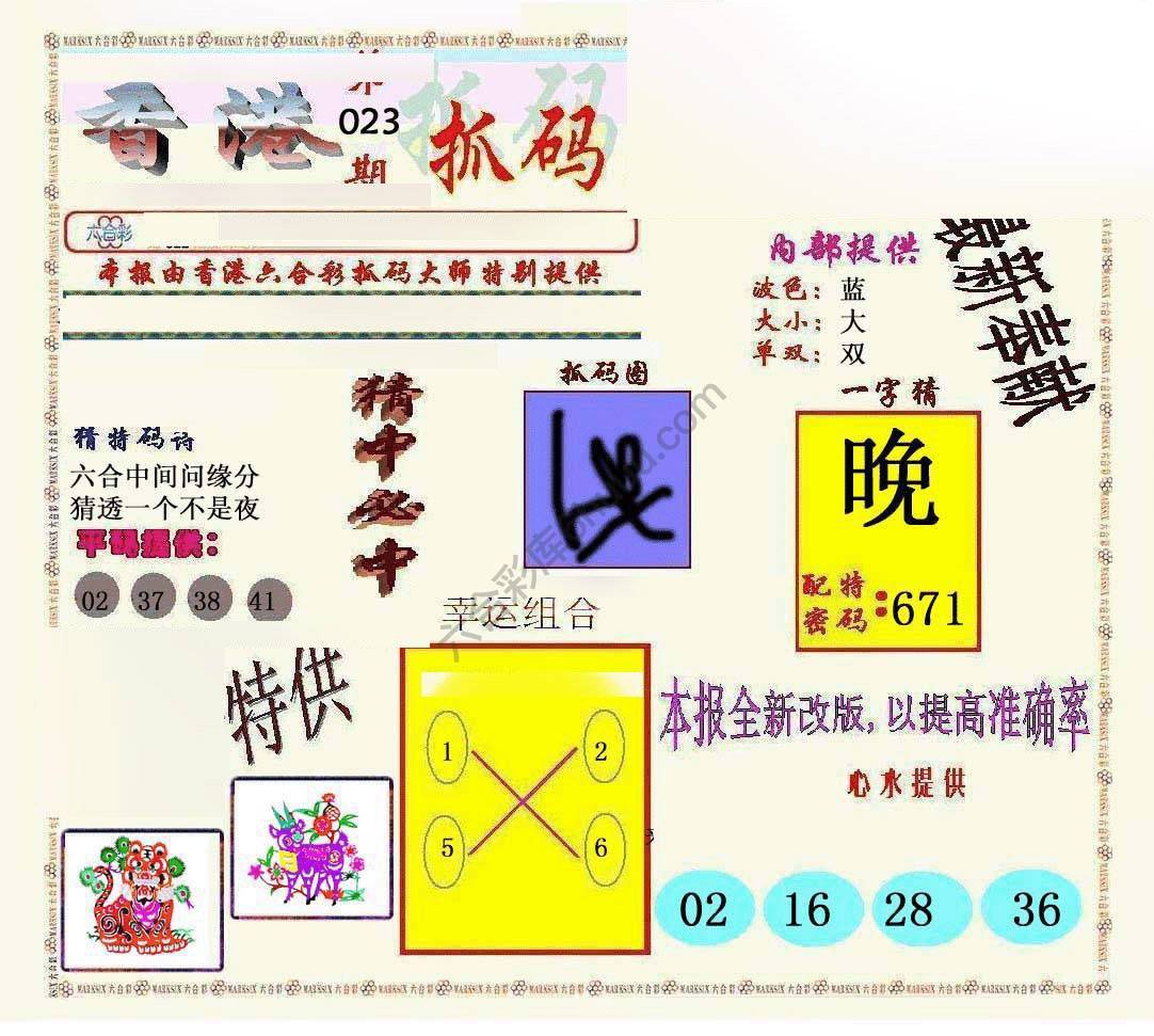 新抓码王