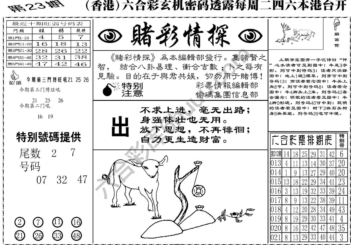 赌彩情探