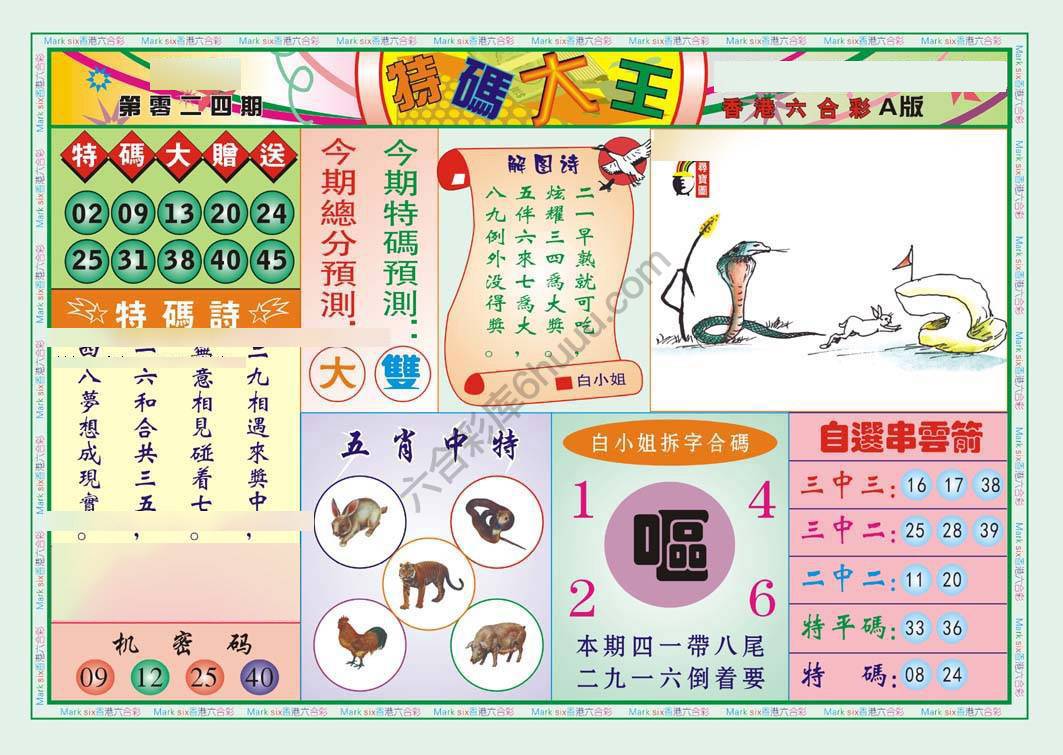 特码大王