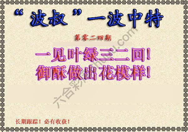 波叔一波中特