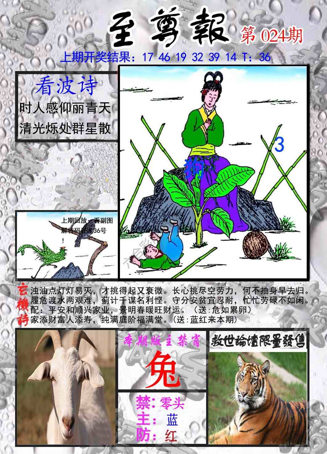 至尊报