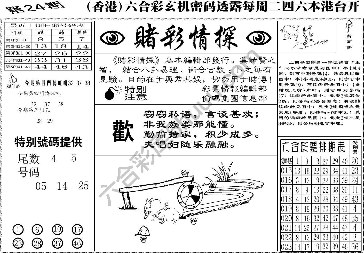 赌彩情探