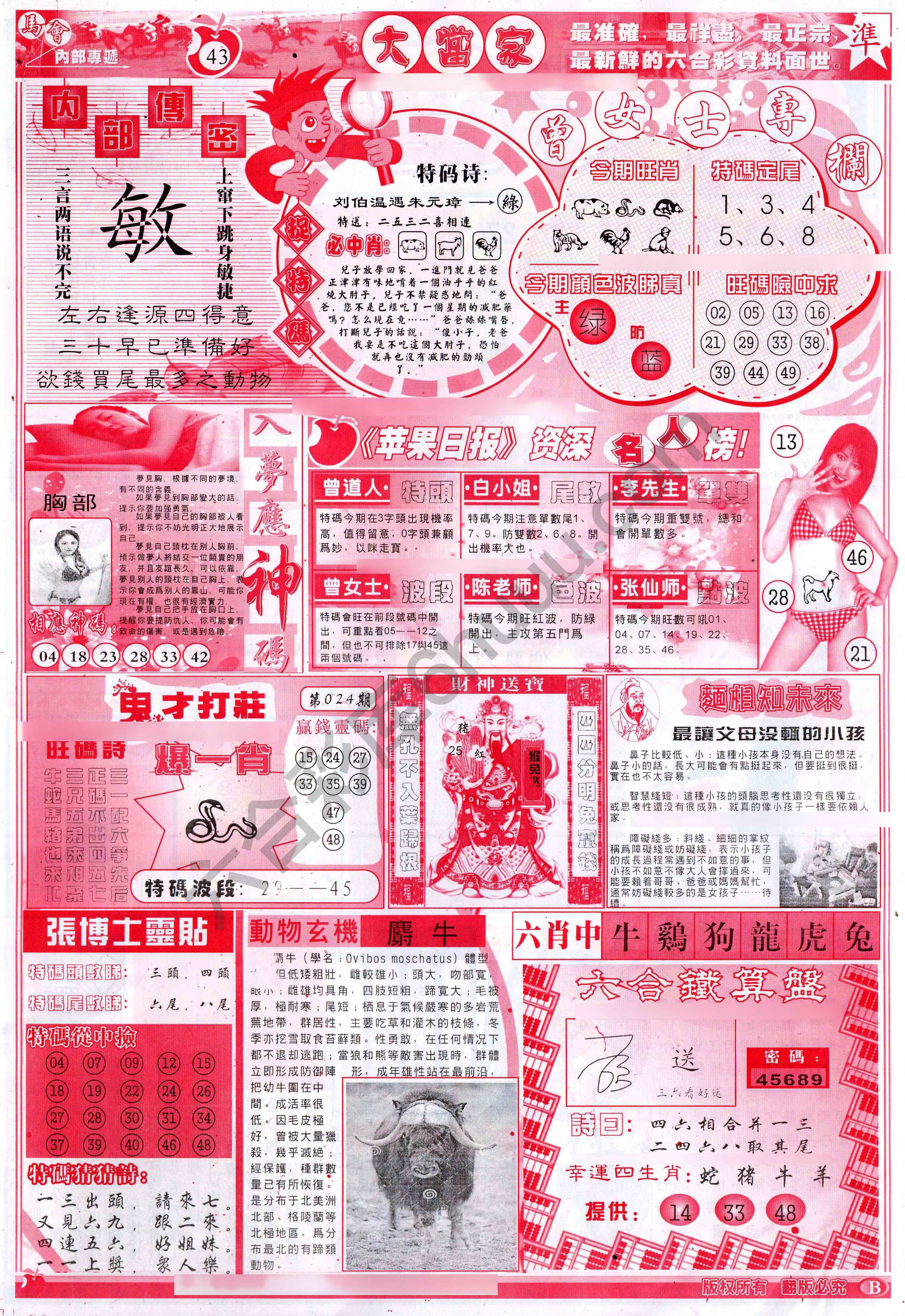 大当家