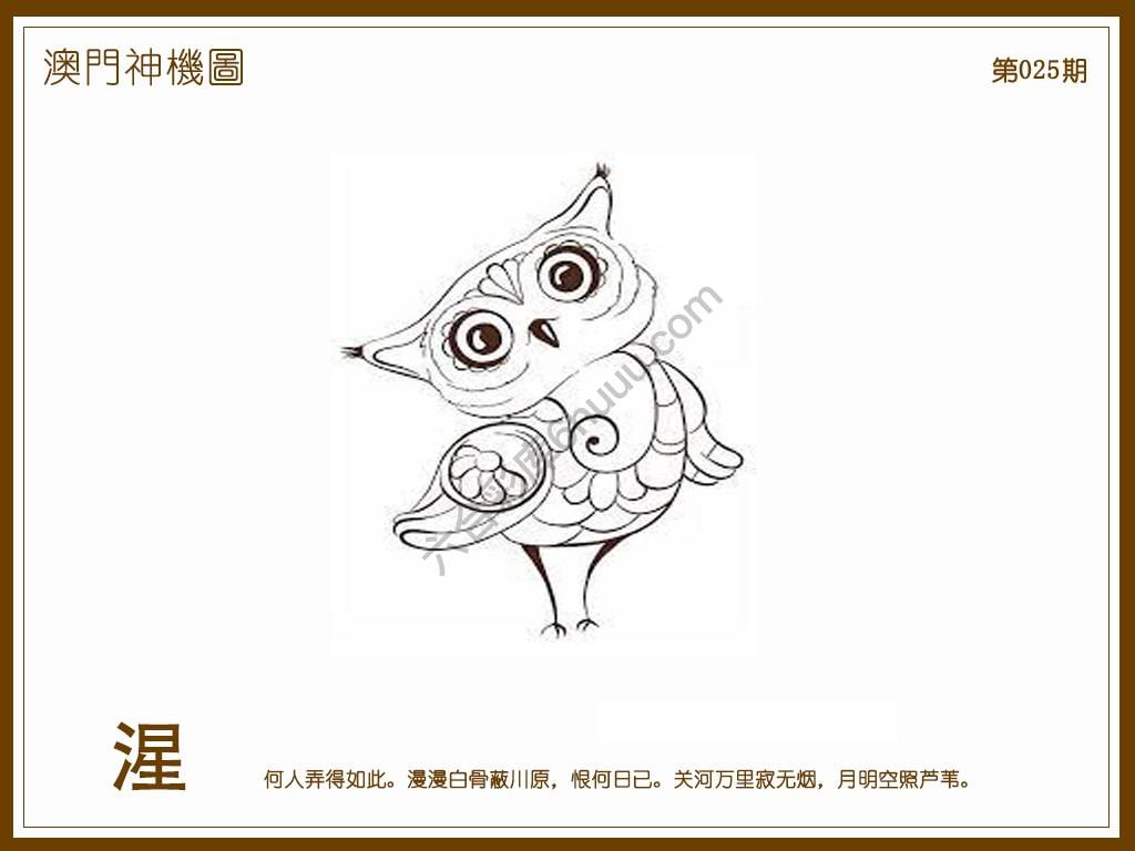澳门神机图