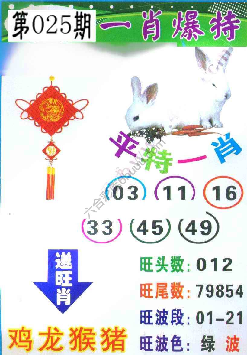 一肖爆特（新版）