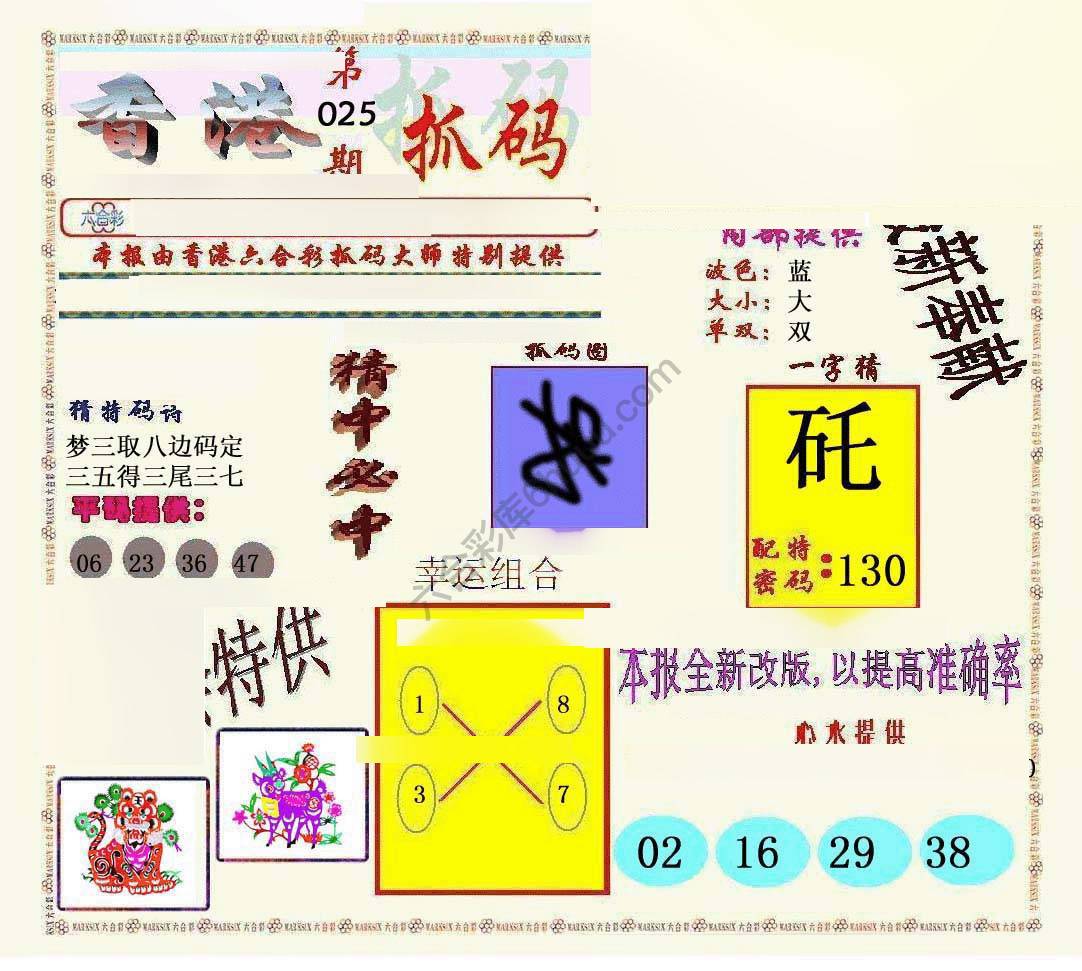 新抓码王