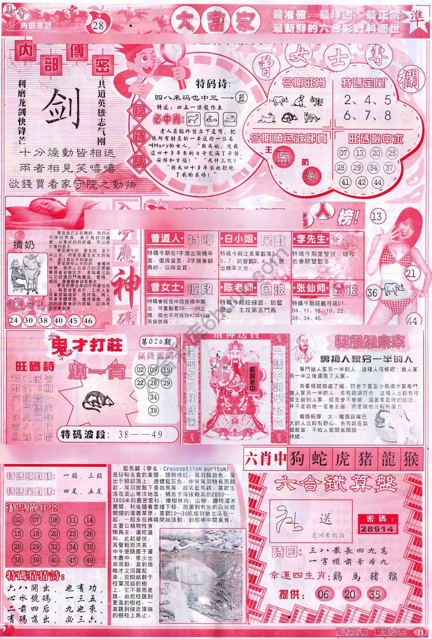 大当家