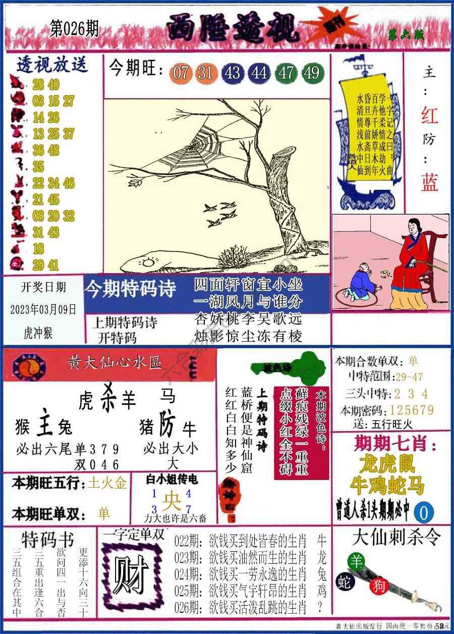 西陲透视（正版）