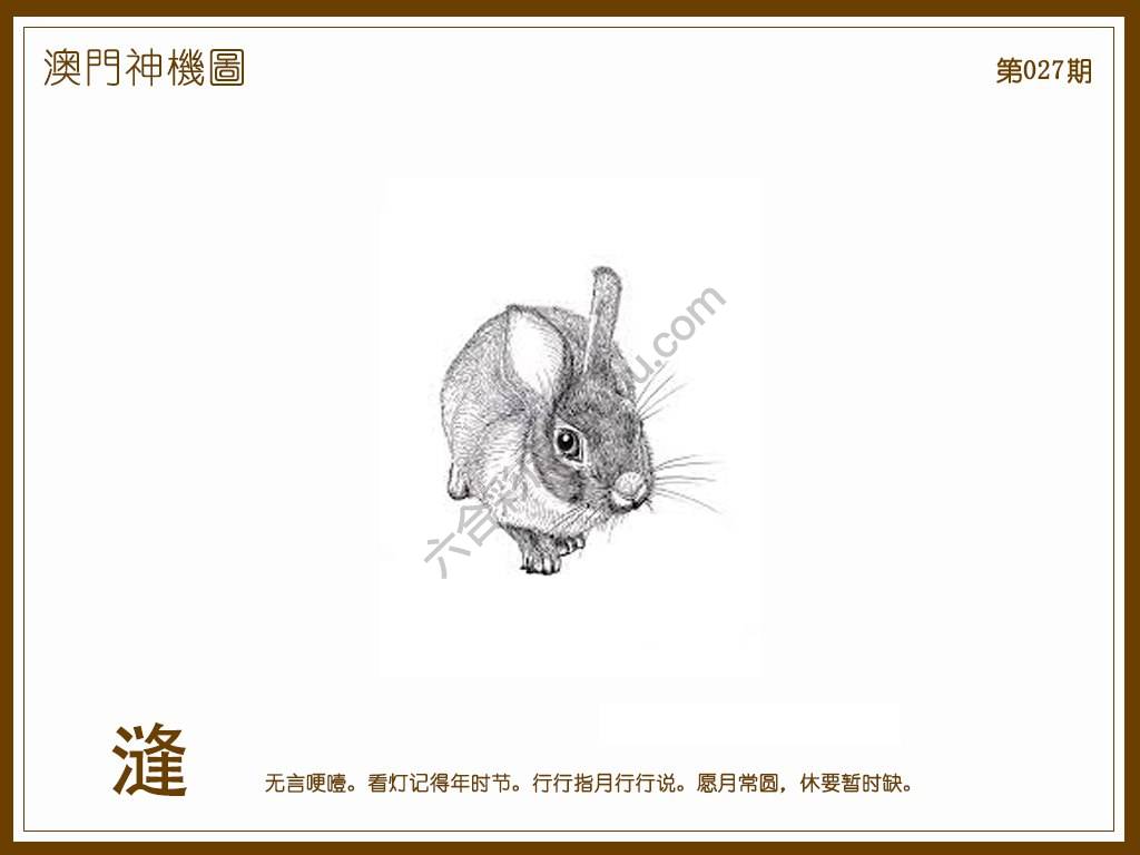 澳门神机图
