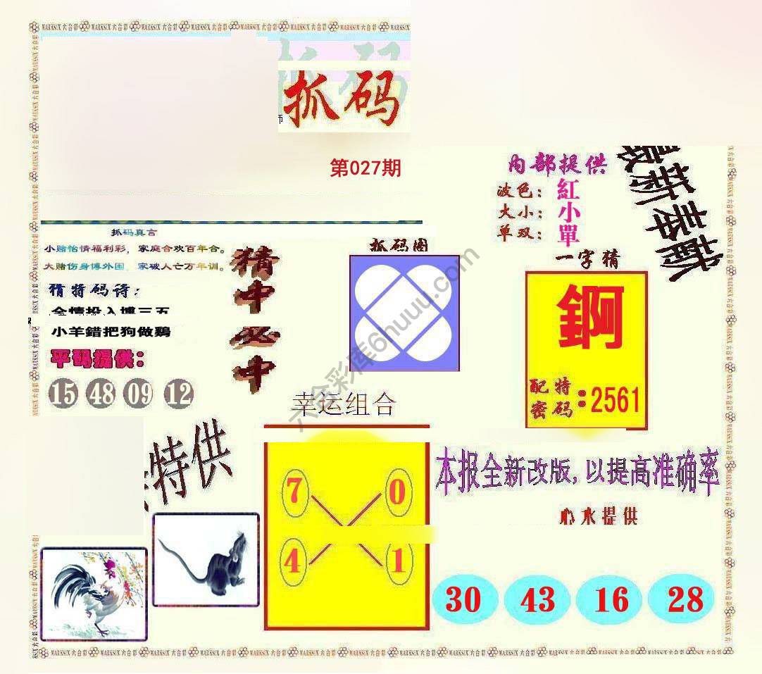 新抓码王