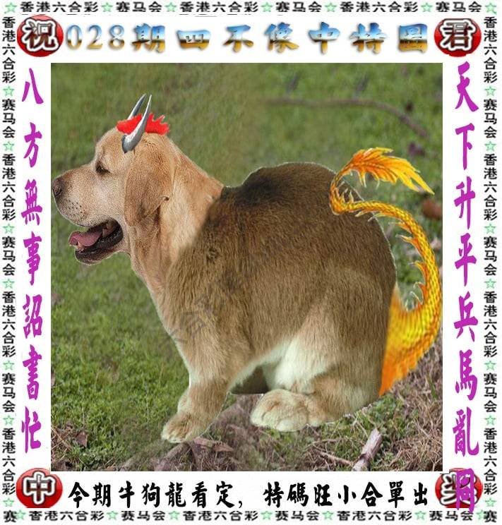 四不像中特图