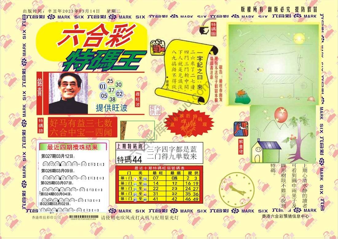 特码王