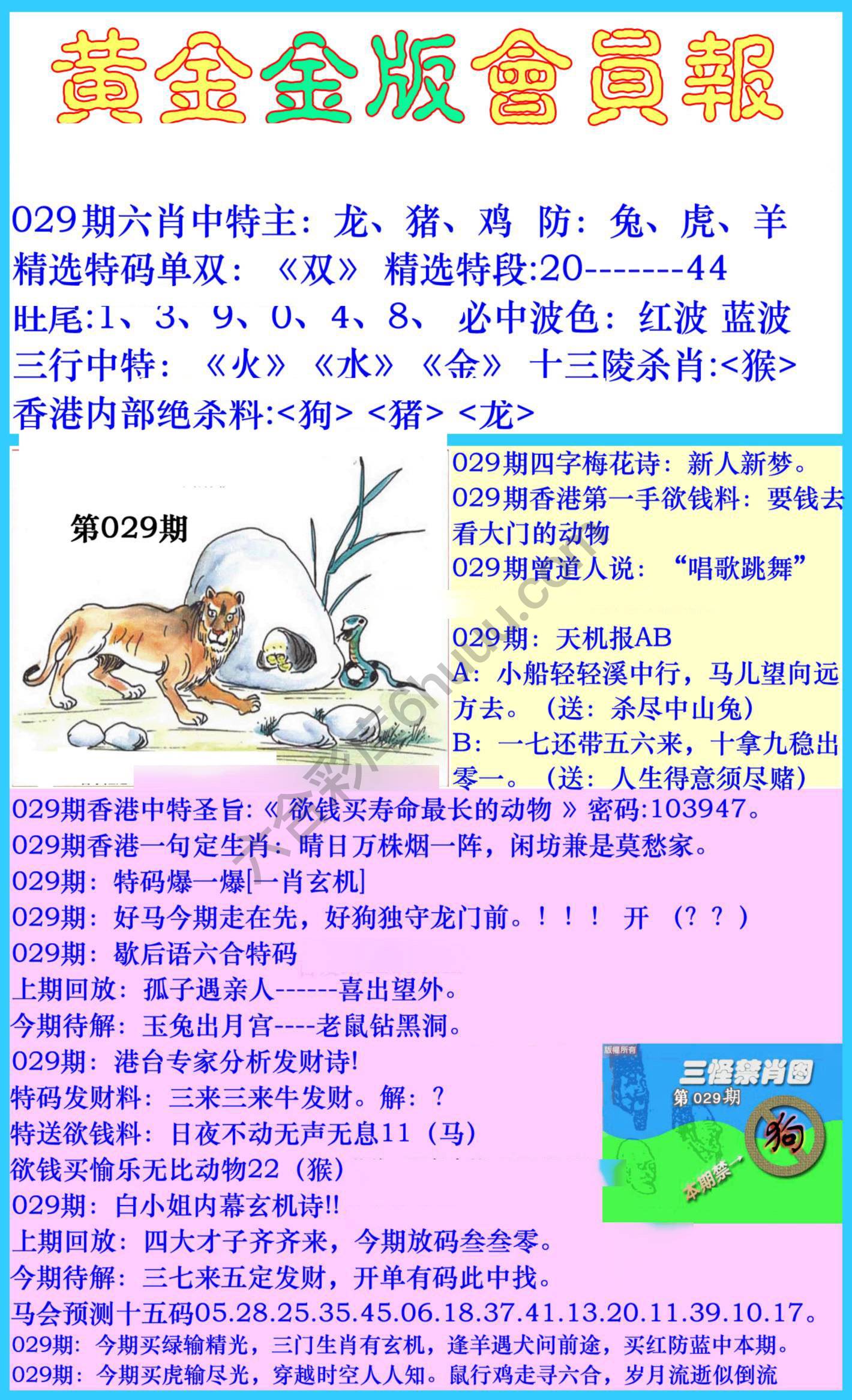 黄金金版会员报