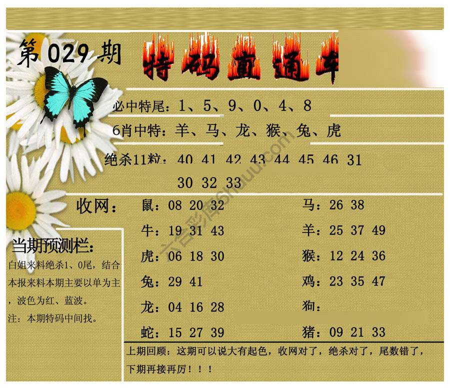 特码直通车