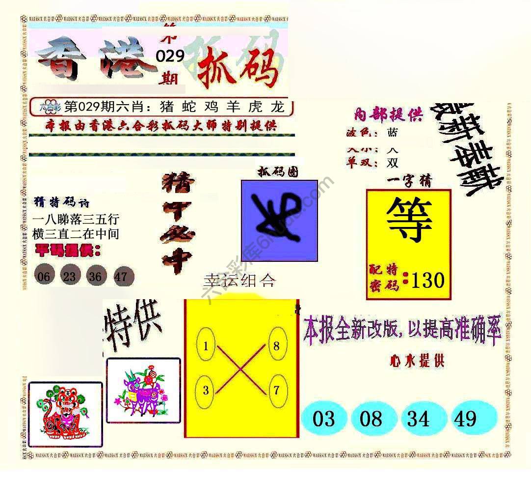 新抓码王