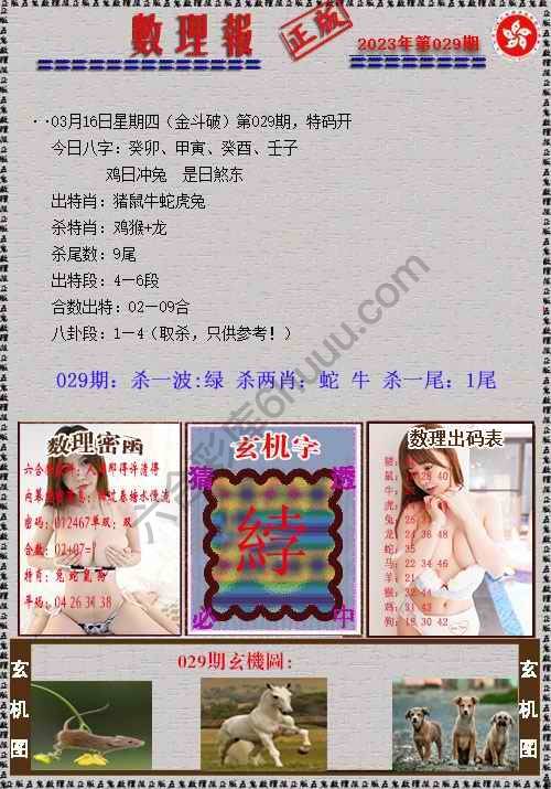 数理报