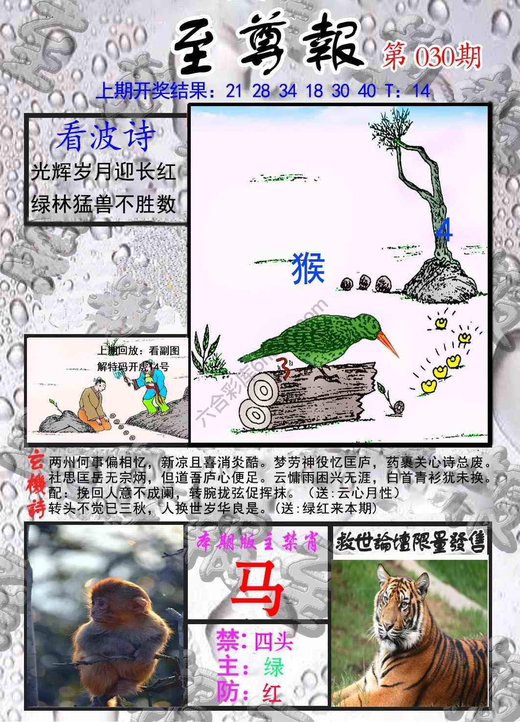 至尊报