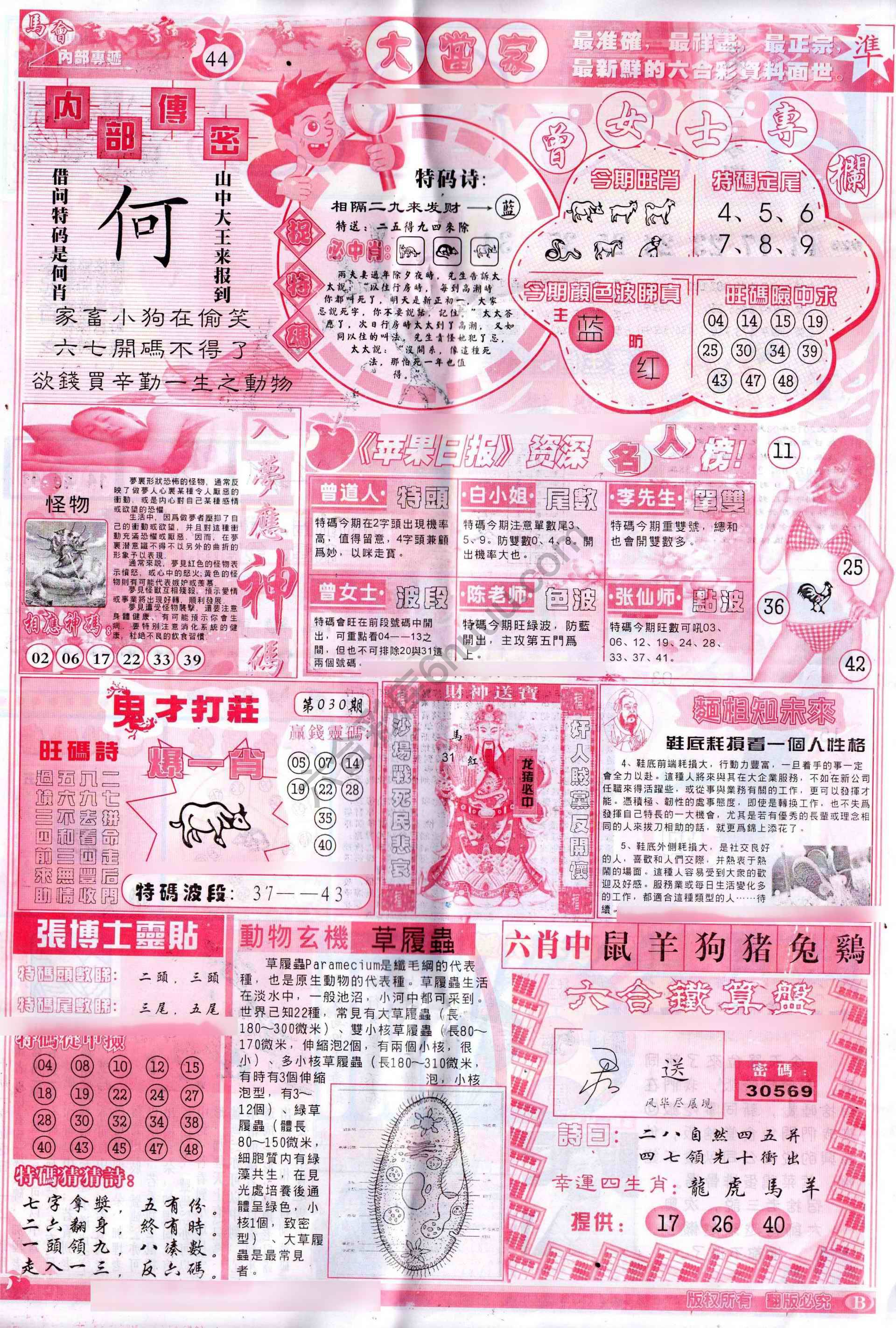大当家