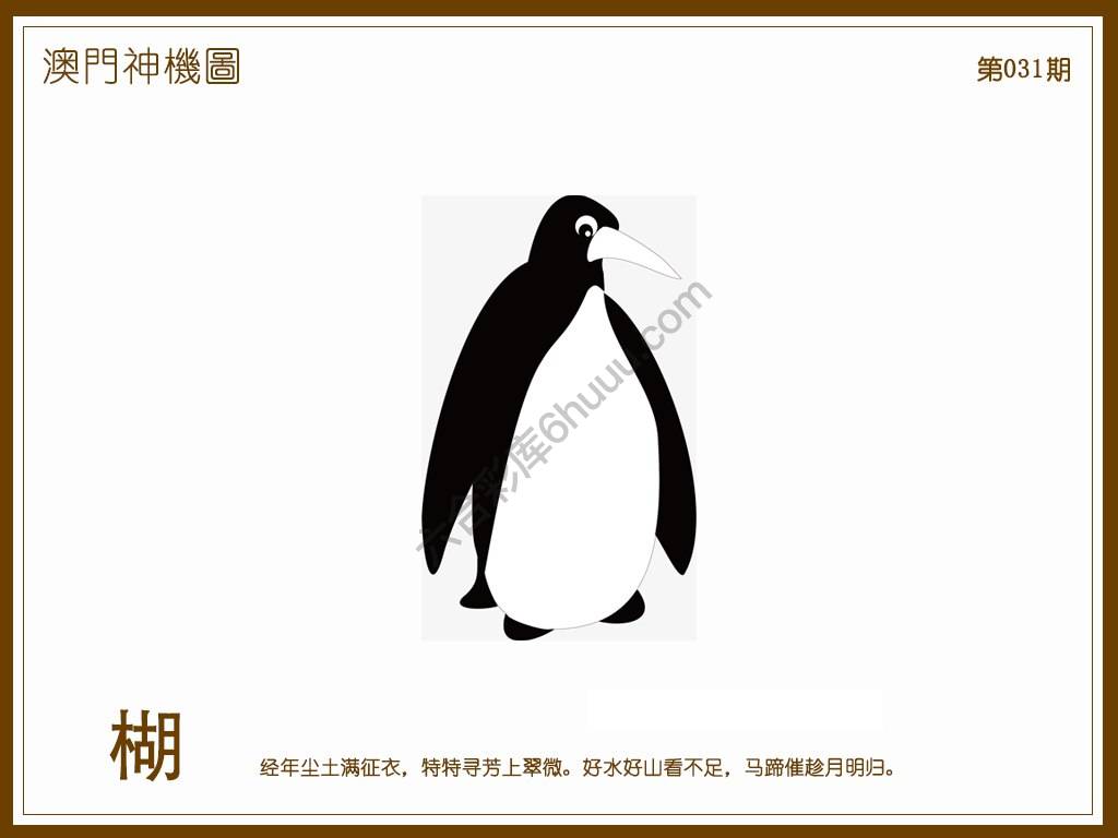 澳门神机图