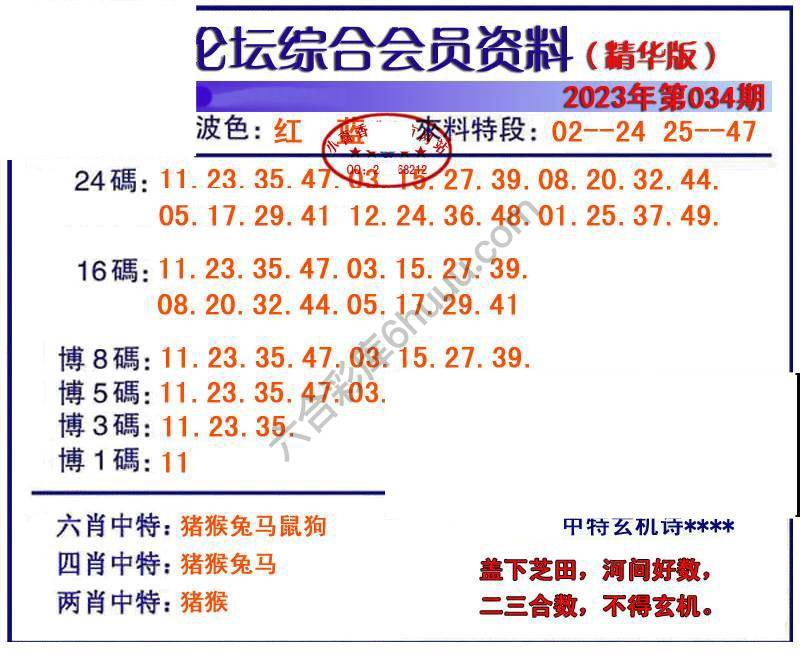 综合会员资料