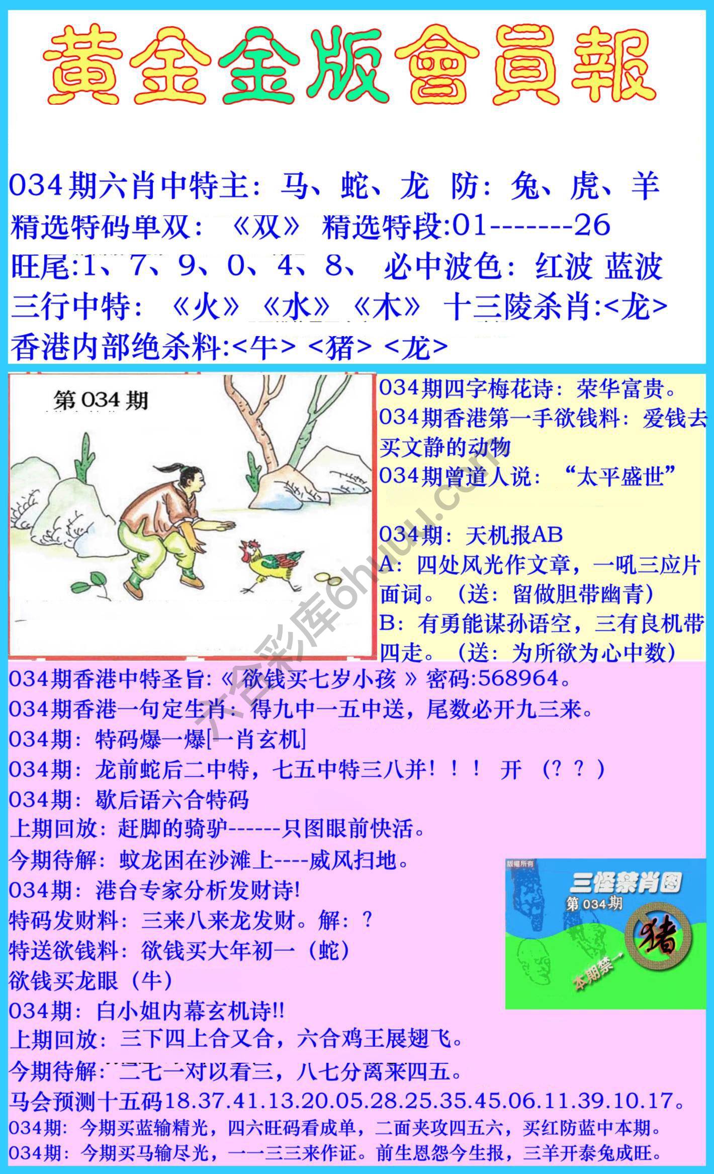 黄金金版会员报