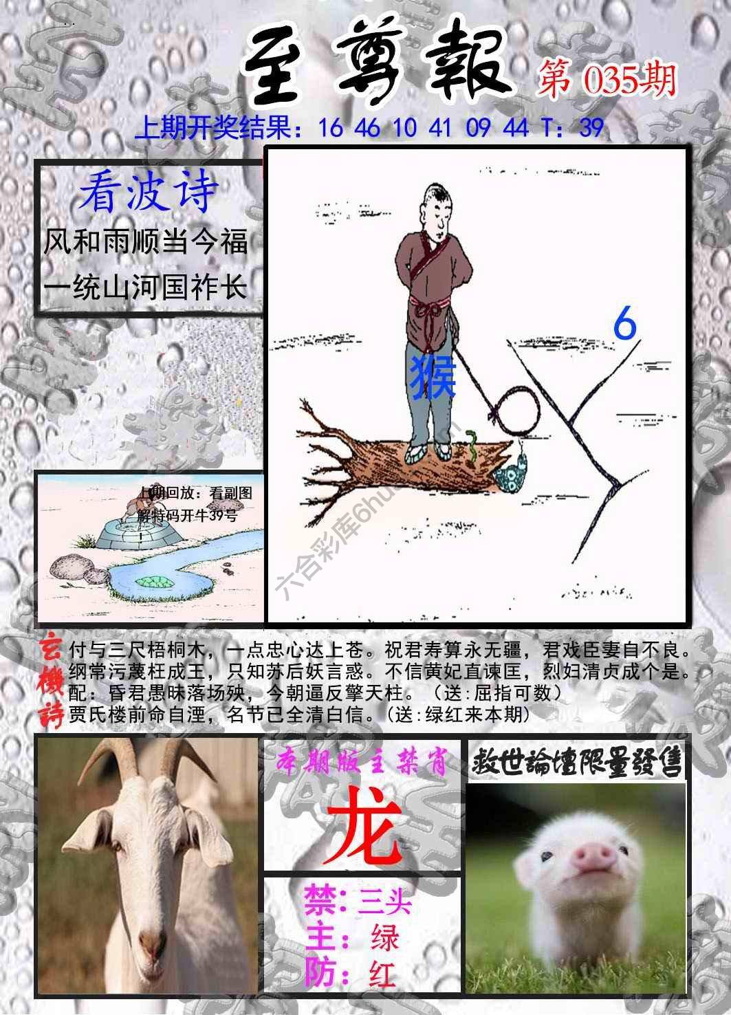 至尊报