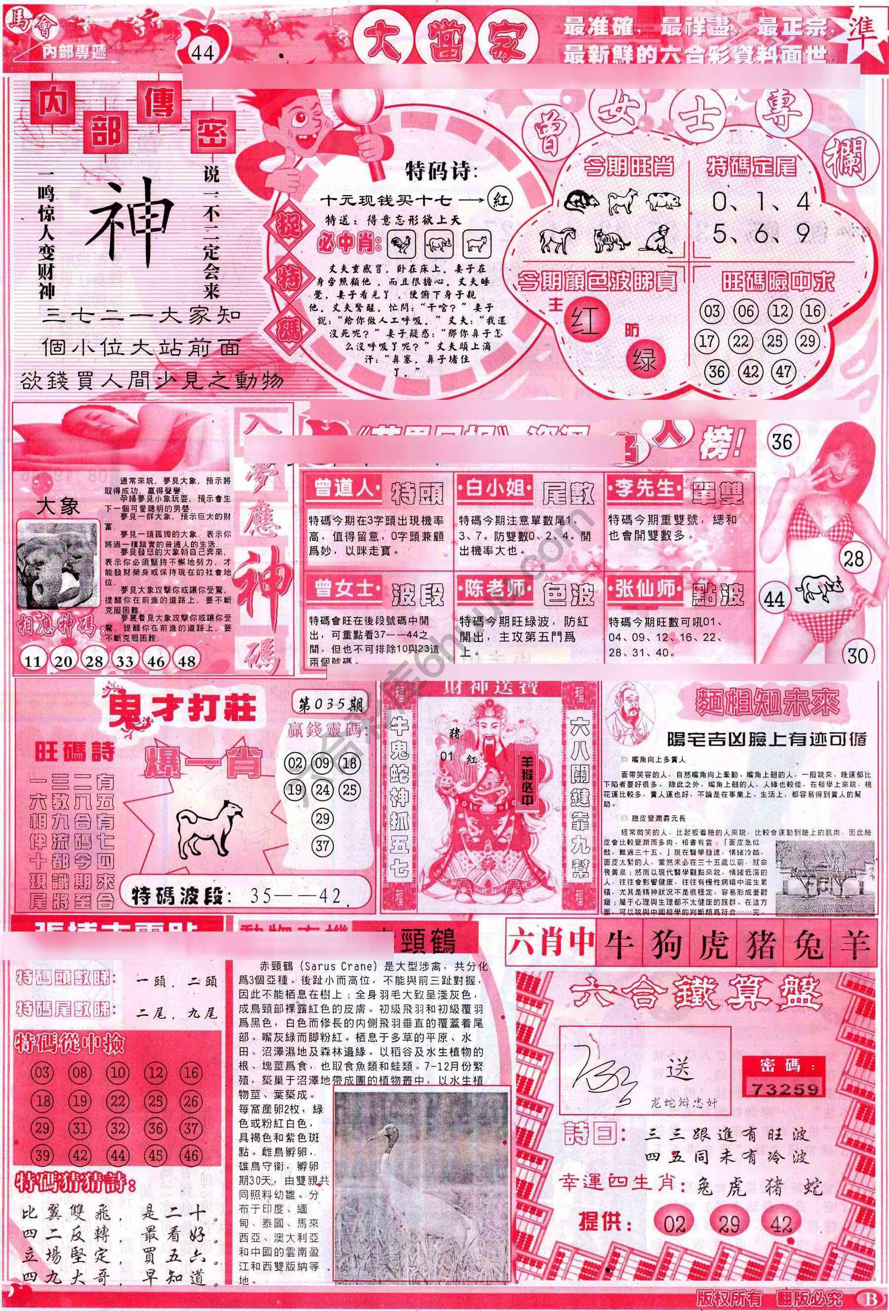 大当家