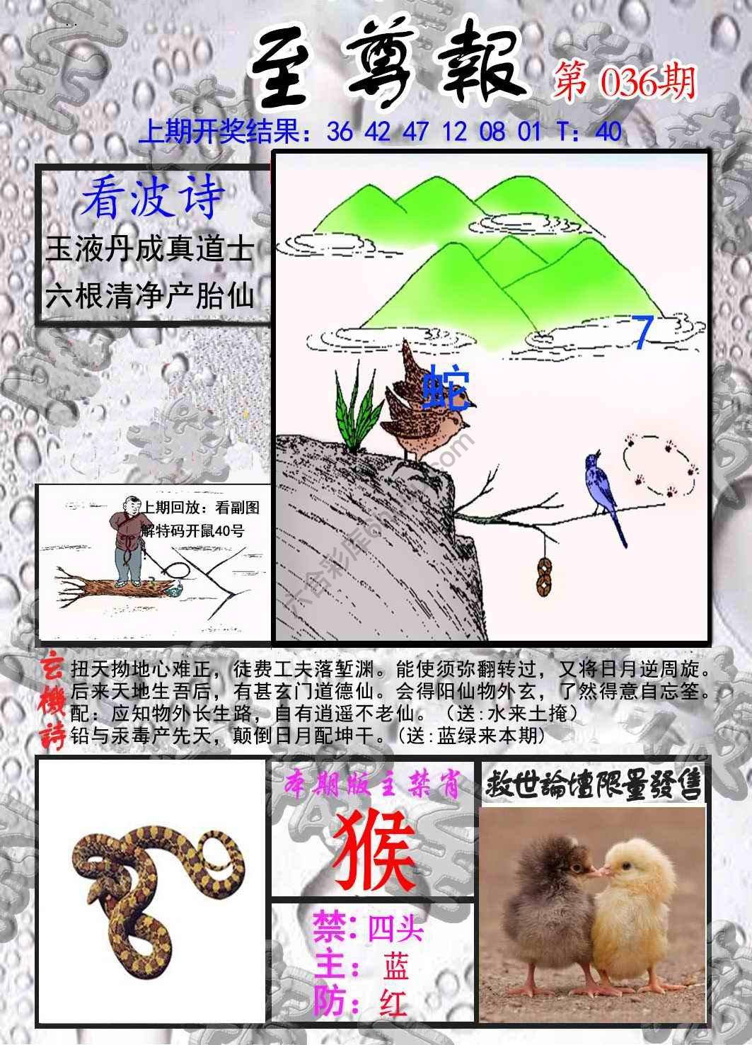 至尊报